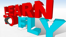 Learn To Fly